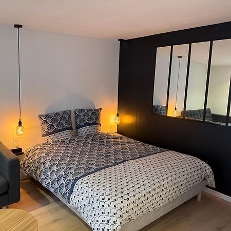 Grand Studio - Au Faubourg - Strasbourg Centre Dış mekan fotoğraf