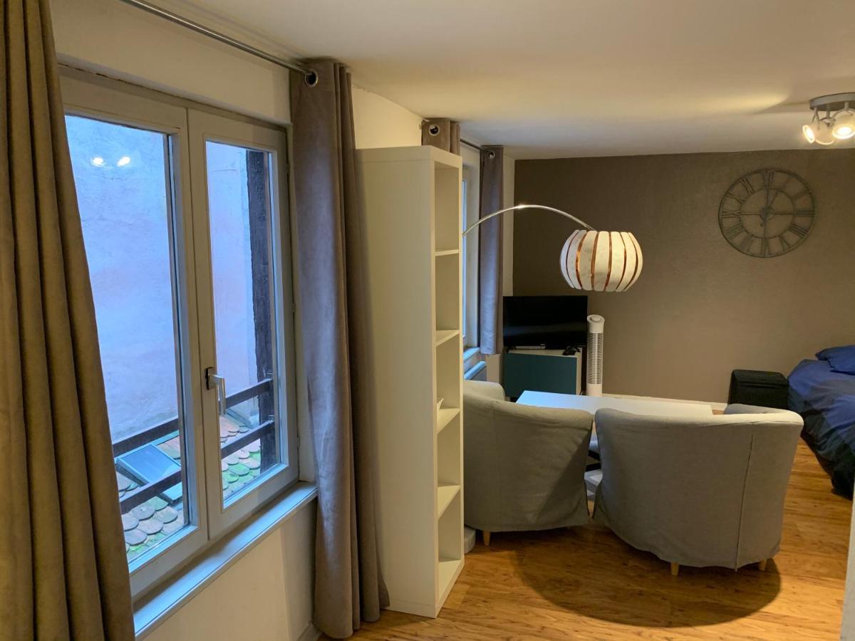 Grand Studio - Au Faubourg - Strasbourg Centre Dış mekan fotoğraf